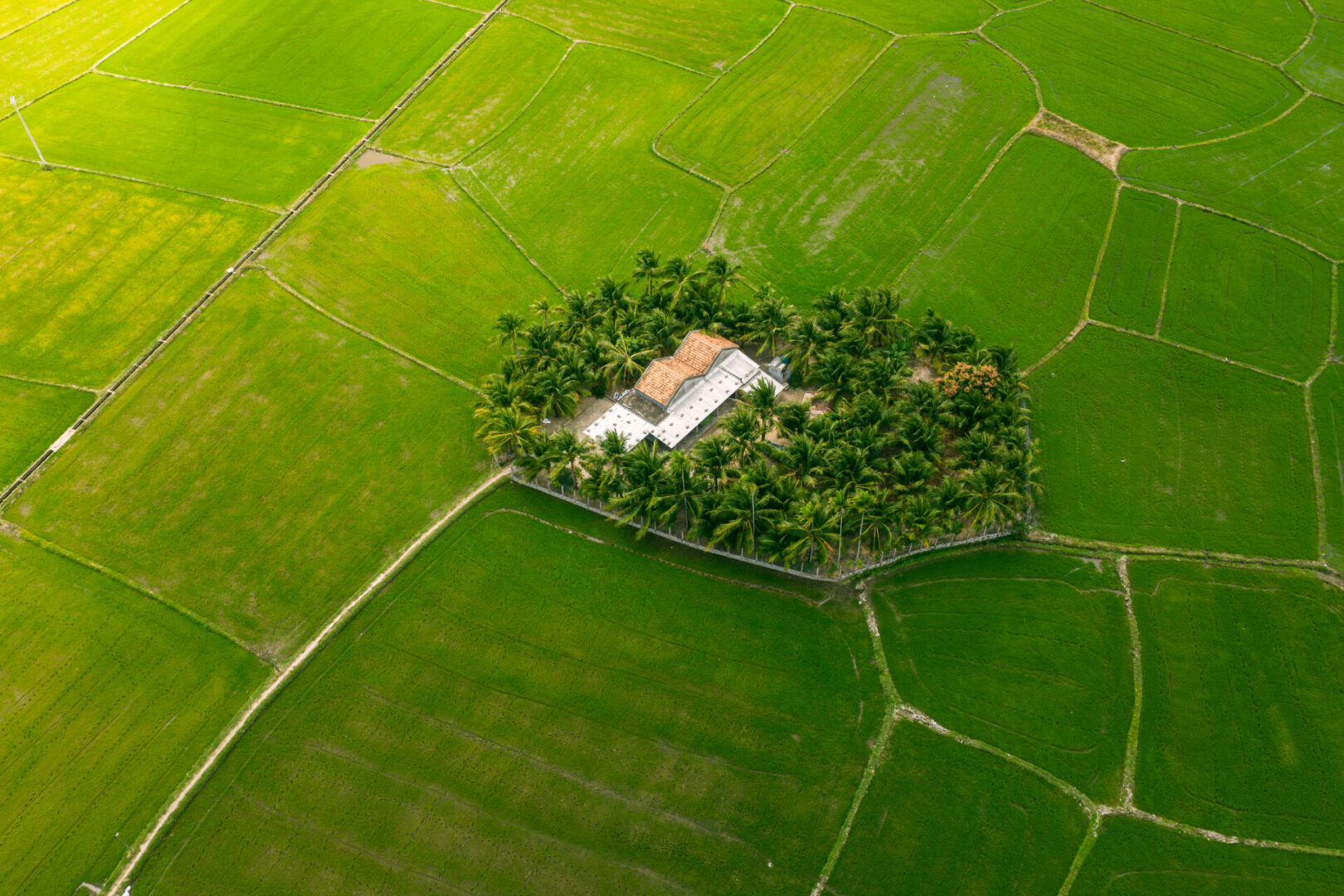 Farm field