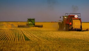 Combine harvester working in a wheat field, with a tractor in the foreground and a sky in the background