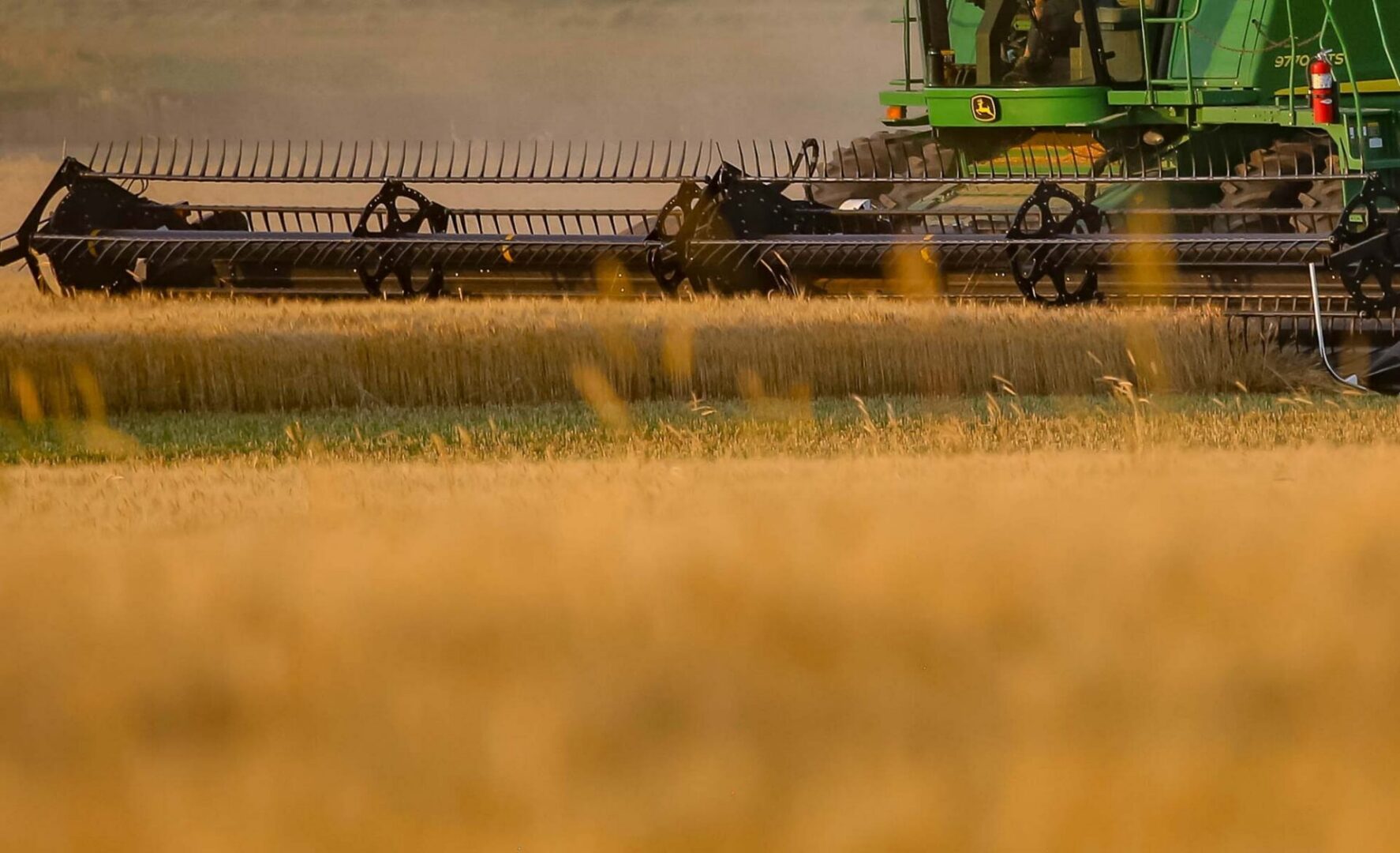 Person sitting in a combine harvester in the middle of a wheat field, surrounded by lush green grass
