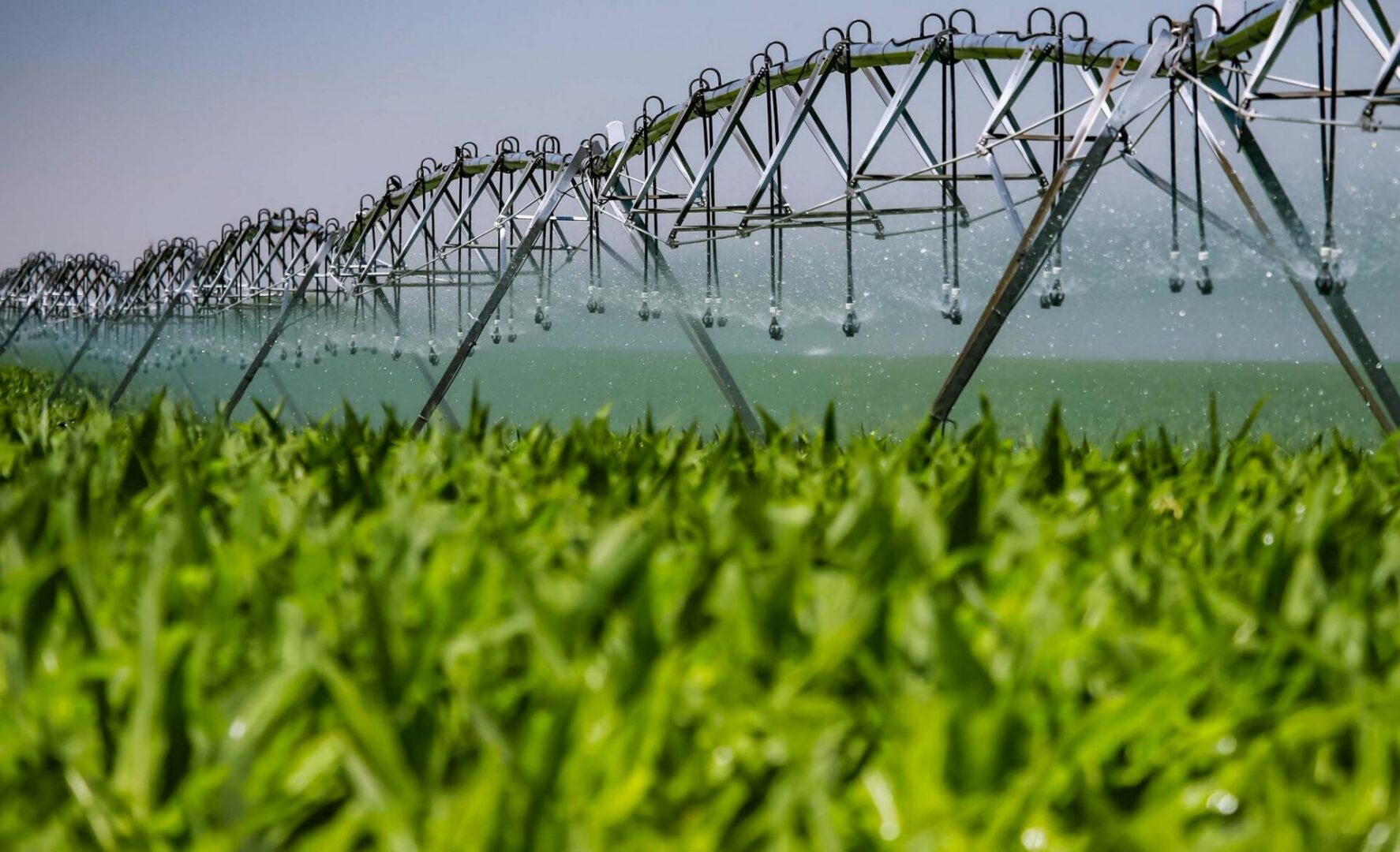 Large irrigation system in the middle of a field, with water droplets glistening in the sunlight